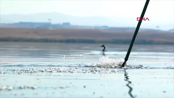 Türkiye'nin deniz ve kıyı suları kirliliği izlenecek