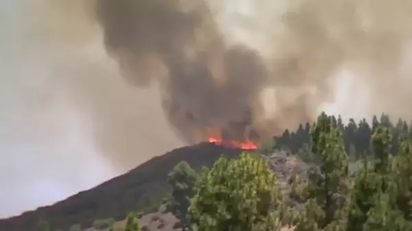 İspanya'da Büyük Kanarya Adası'nda Orman Yangını: Yüzlerce Kişi Tahliye Edildi