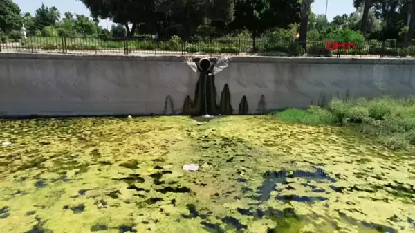 Kum sinekleri birçok hastalığa sebep oluyor