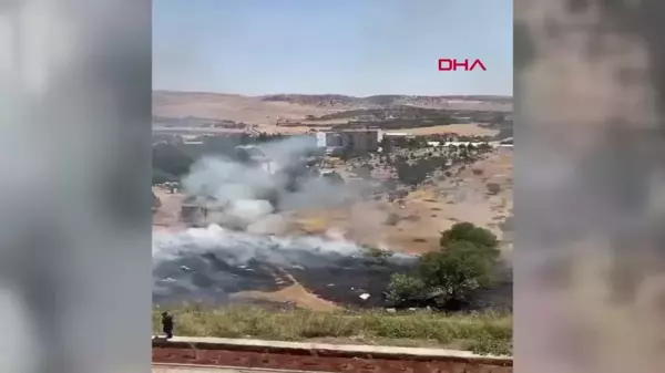 Siirt'te fıstık bahçesinde çıkan yangında 50 ağaç ile 5 dönüm alan zarar gördü