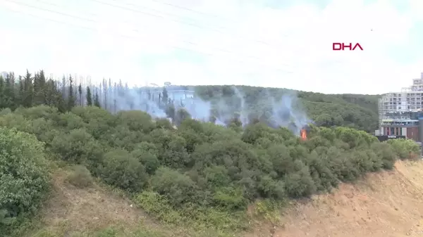 Kağıthane'de Tem Otoyolu Kenarında Ağaçlarda Yangın