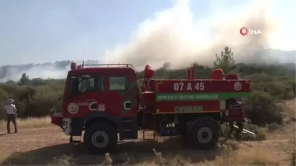 Orman yangınına hızlı müdahale vatandaşları memnun etti: 'Allah devletimizden razı olsun'