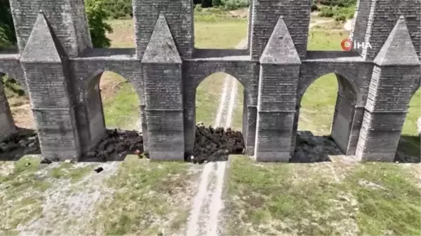 Alibey Barajı'nda sıcaktan bunalan koyunlar gölgeye sığındı