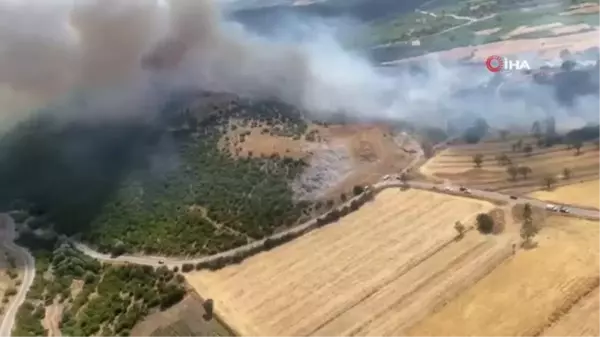 Balıkesir'de orman yangını