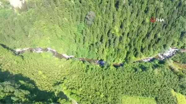 Dünya 'Altın Bal' ödülü balın tanıtımı Artvin'de yapıldı