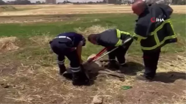 Araç lastiği körüğüne sıkışan köpek itfaiye ekiplerince kurtarıldı