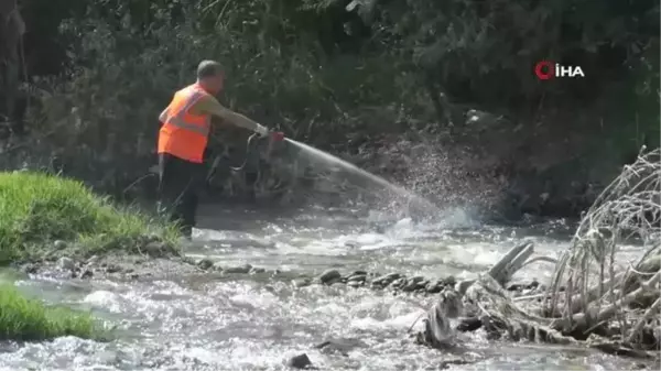 Karabük'te artan sivrisineklere karşı ilaçlama yapılıyor