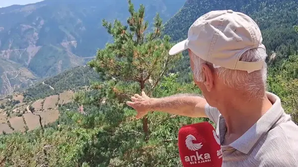 Artvin'in Üç Köyünde Vatandaş, Altın Madeni Çalışmalarına Tepkili: 