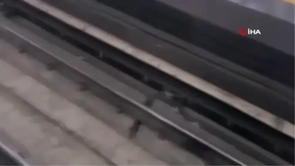 Ankara'da Metro Raylarına Giren Kedi Kurtarıldı