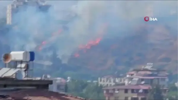 Hatay'da Zeytinlik ve Makilik Alanlarda Yangın Kontrol Altına Alındı