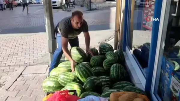 Tunceli'de Organik Karpuz Hasadı Başladı