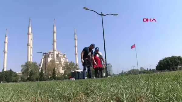 Adana'da Güneşte Pişen Adana Tostu