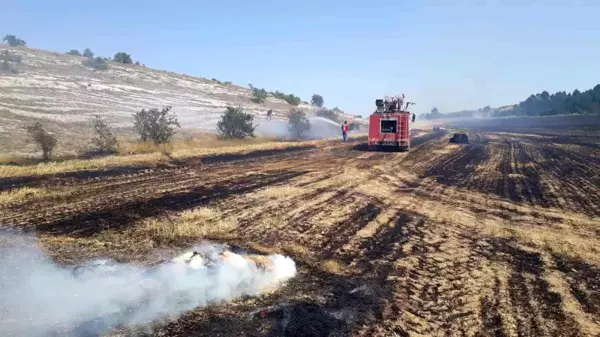 Kastamonu'da çıkan yangınlar kontrol altına alındı