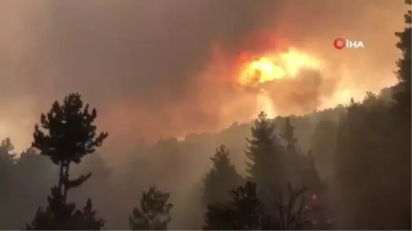 Antalya'da orman yangını