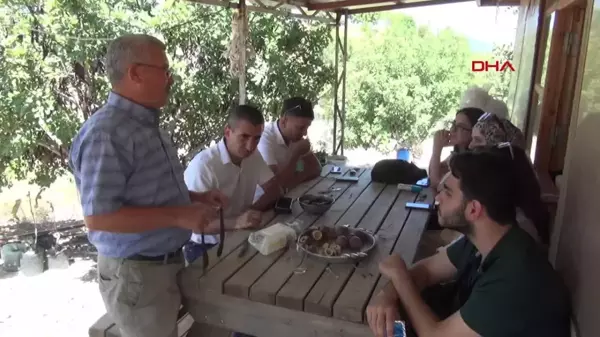 Manavgat'ta Keçiboynuzu Üretimi