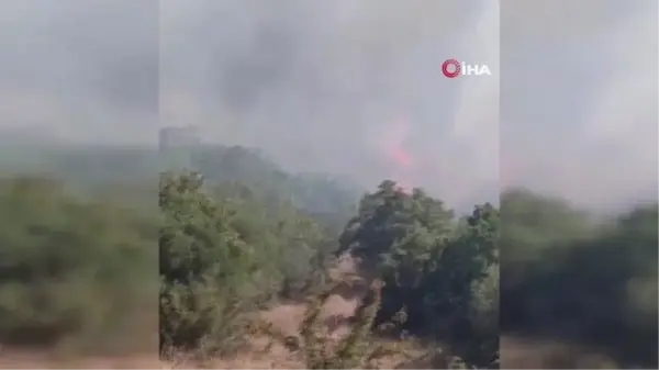 Silivri'de ormanlık alanda çıkan yangın kontrol altına alındı