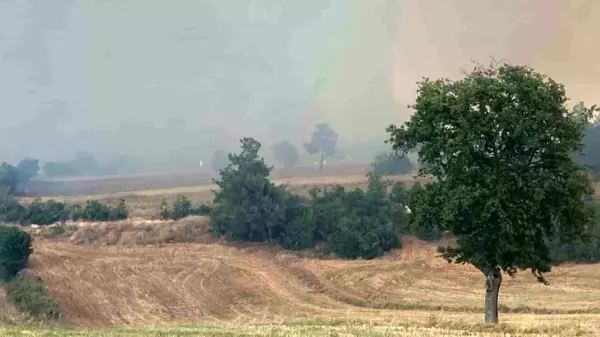 Bursa'da Orman Yangınına Havadan ve Karadan Müdahale