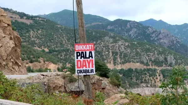 Gümüşhane'de Pala Dayı'nın reklam tabelaları sürücüleri şaşırtıyor