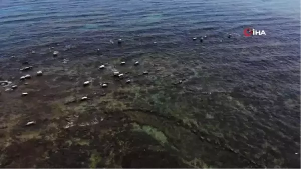 Van Gölü'nde sular çekildi, asırlık toplu mezar ortaya çıktı