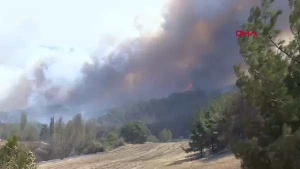 Çanakkale'deki Orman Yangınında Alevler Yeniden Yükseldi