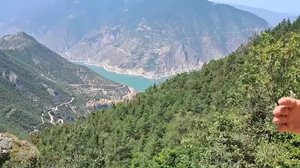 Artvin Ardanuç'un Köylerine Yapılmak İstenen Altın Madenine Bölge Halkı Tepkili: 