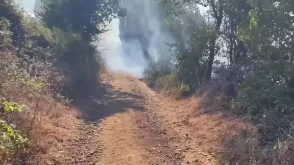 Çorum'da Ceviz ve Üzüm Bahçeleri Küle Döndü