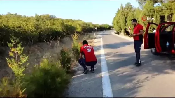 (MERSİN)Yangına giden itfaiye ekipleri karşılaştıkları tilkiyi simitle besledi