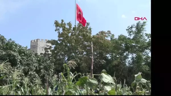 Yedikule Bostancıları İBB'nin Ecrimisil Zammını Protesto Etti