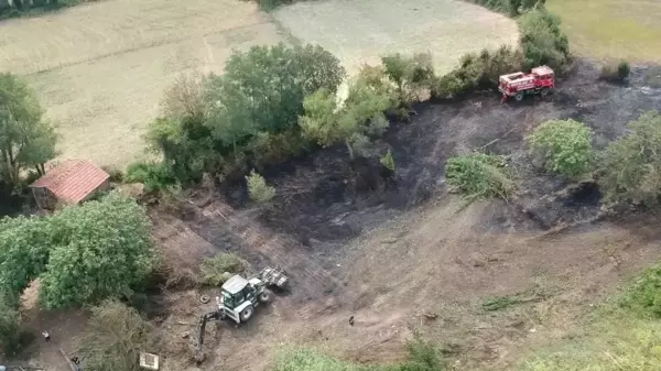 Sinop'ta Orman Yangınında 10 Dönüm Alan Zarar Gördü