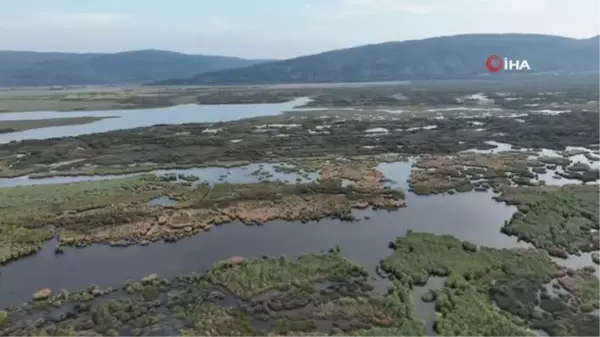 Karacabey Longoz Ormanları'nda Sonbahar Manzaraları