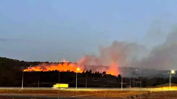 Çanakkale'de makilik alanda yangın çıktı