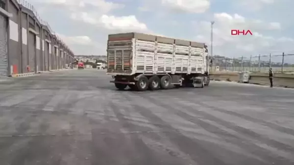 Tekirdağ'da 84 Ton Ekmek Buğdayı Çalındı