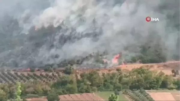 Soma'daki orman yangınını söndürme çalışmaları devam ediyor