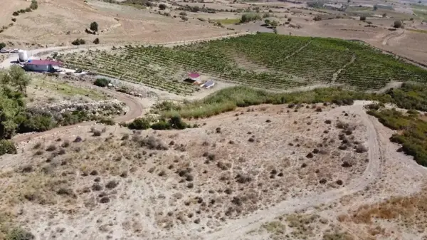 Tarsus Belediyesi Köylerde Yol Sorununu Çözüyor