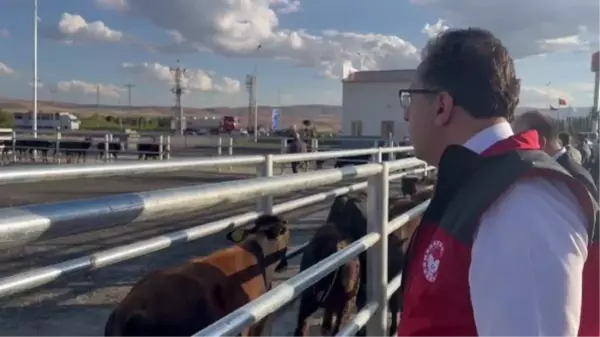 Türkiye'nin İlk Veteriner Yol Kontrol Denetim İstasyonu Erzurum'da Açıldı