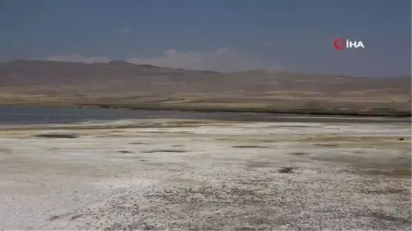 Kuş Cenneti Erçek Gölü'nde Büyük Su Kaybı