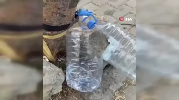 Avcılar'da boğazı kesik köpek bulundu