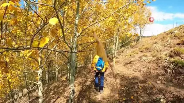 Gümüşhane Dağlarında Sonbaharın Renk Şöleni