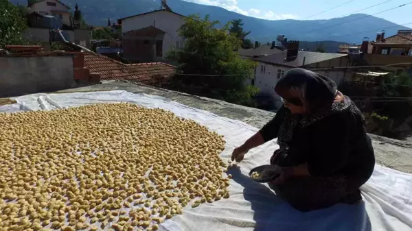 5 asırlık yöntemle hazırlanan tarhanalar damlara serildi