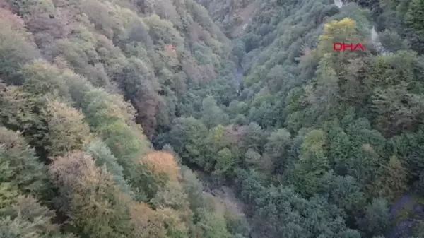 Trabzon'da Sonbahar Renkleri Dron ile Görüntülendi