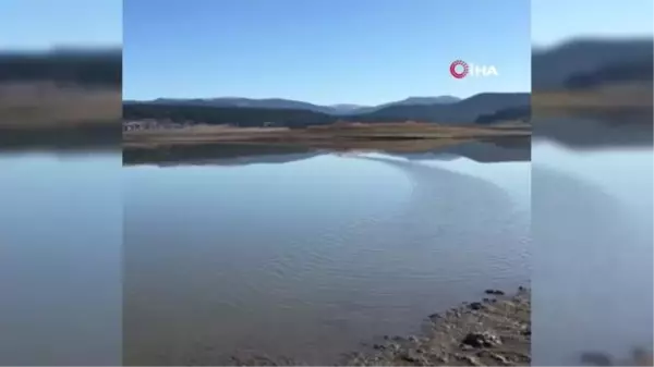 Yorgun düşen Sakar Meke kuşu, Bolu'da dinlendirilerek tekrar doğaya salındı