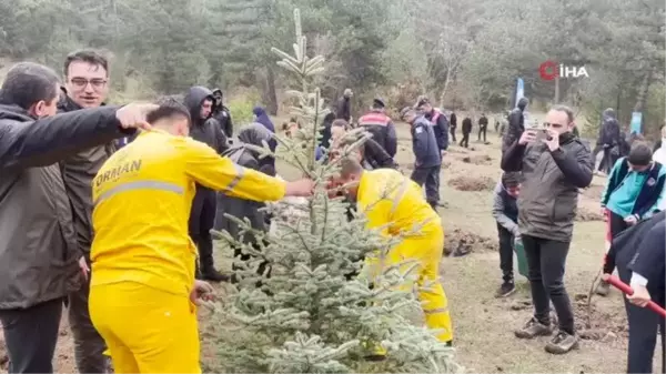 Yağmura aldırış etmediler, Cumhuriyet'in 100. yılı için fidan diktiler