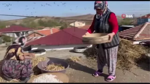 Edirne'de kuru fasulye hasadı yapıldı