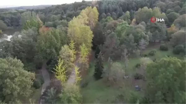 Atatürk Arboretumu'nda kartpostallık manzaralar