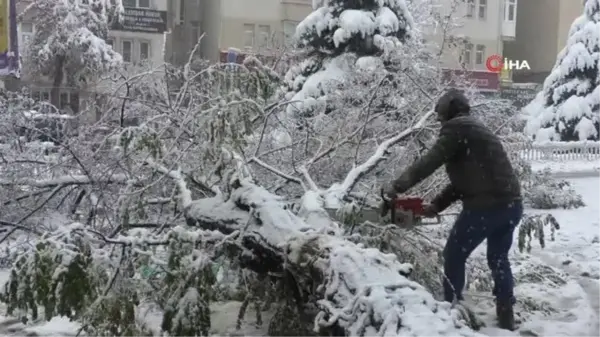 Erzurum'da Yoğun Kar Yağışı Hayatı Felç Etti