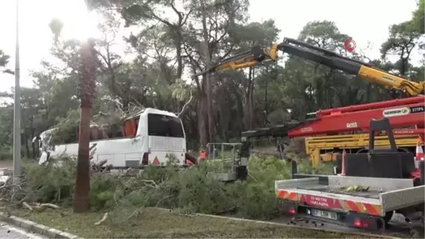 Manavgat'da hortum asırlık çam ağaçlarını yerle bir etti