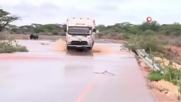 Kenya ve Somali'de Şiddetli Yağışların Yol Açtığı Sel Felaketinde Ölü Sayısı 242'ye Ulaştı