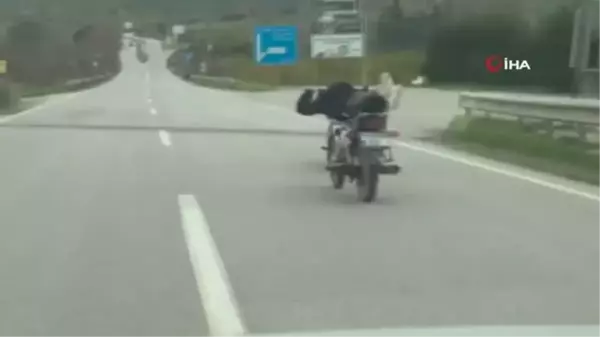 Sakarya'da Tehlikeli Motosiklet Yolculuğu