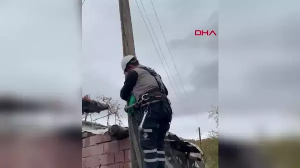 Adıyaman'da Elektrik Direğine Çıkan Yavru Kedi Kurtarıldı