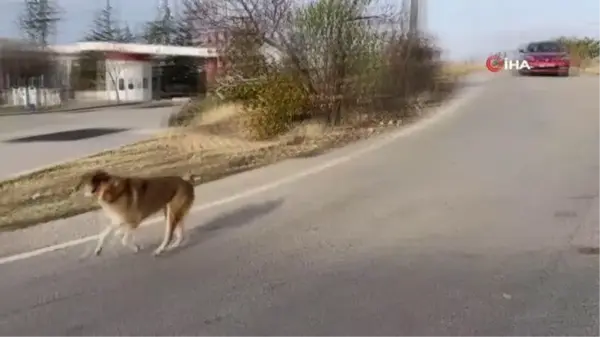 Her gün yollarını gözlüyorlar